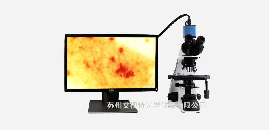 AH200S生物顯微鏡2.jpg