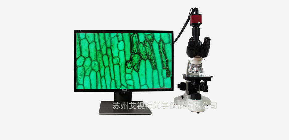 AH50S生物顯微鏡2.jpg
