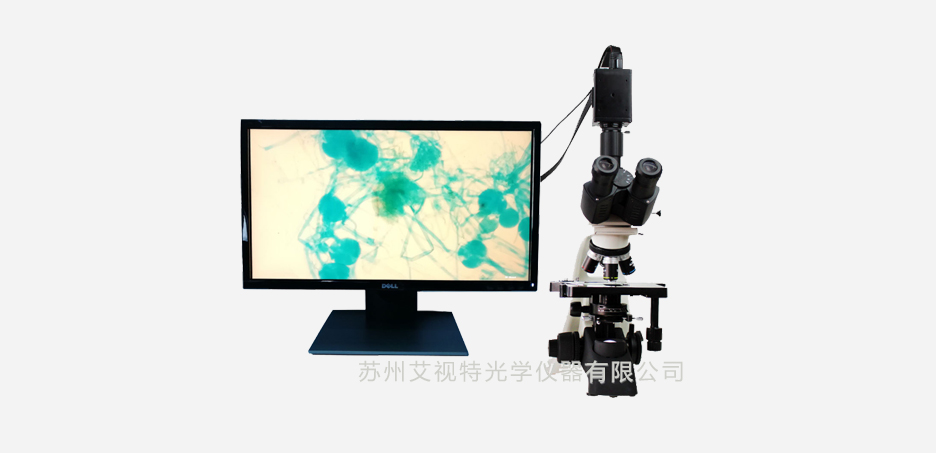 AH100S生物顯微鏡2.jpg