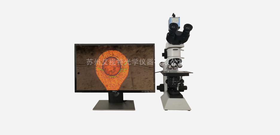 ABH200M金相顯微鏡2.jpg