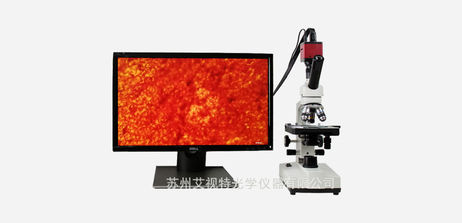A32ST 生物顯微鏡2.jpg